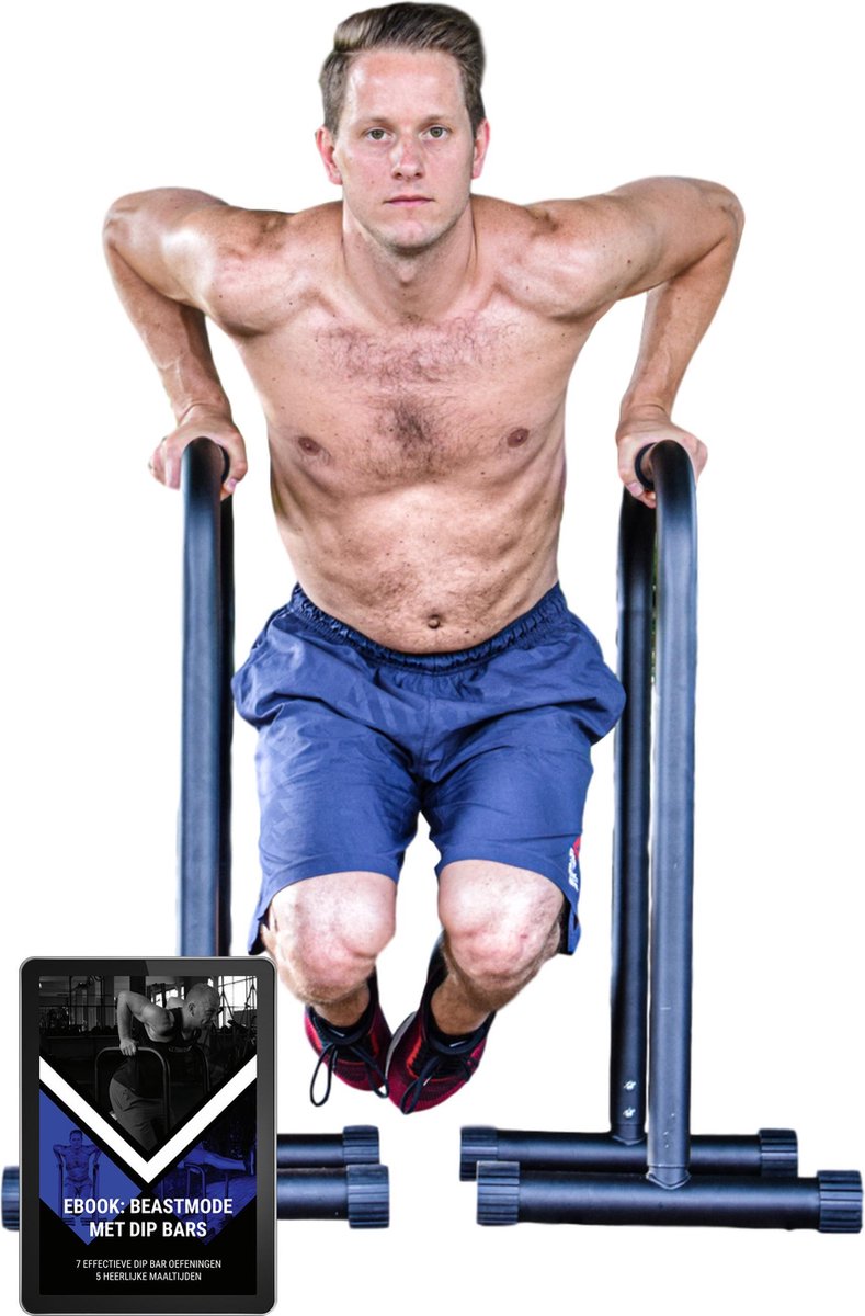 Trizzle Calisthenics Dip Bar